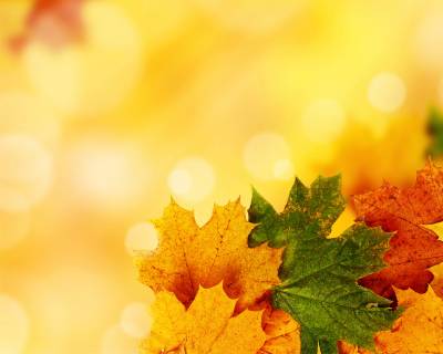 Autumn yellow backgrounds ppt background