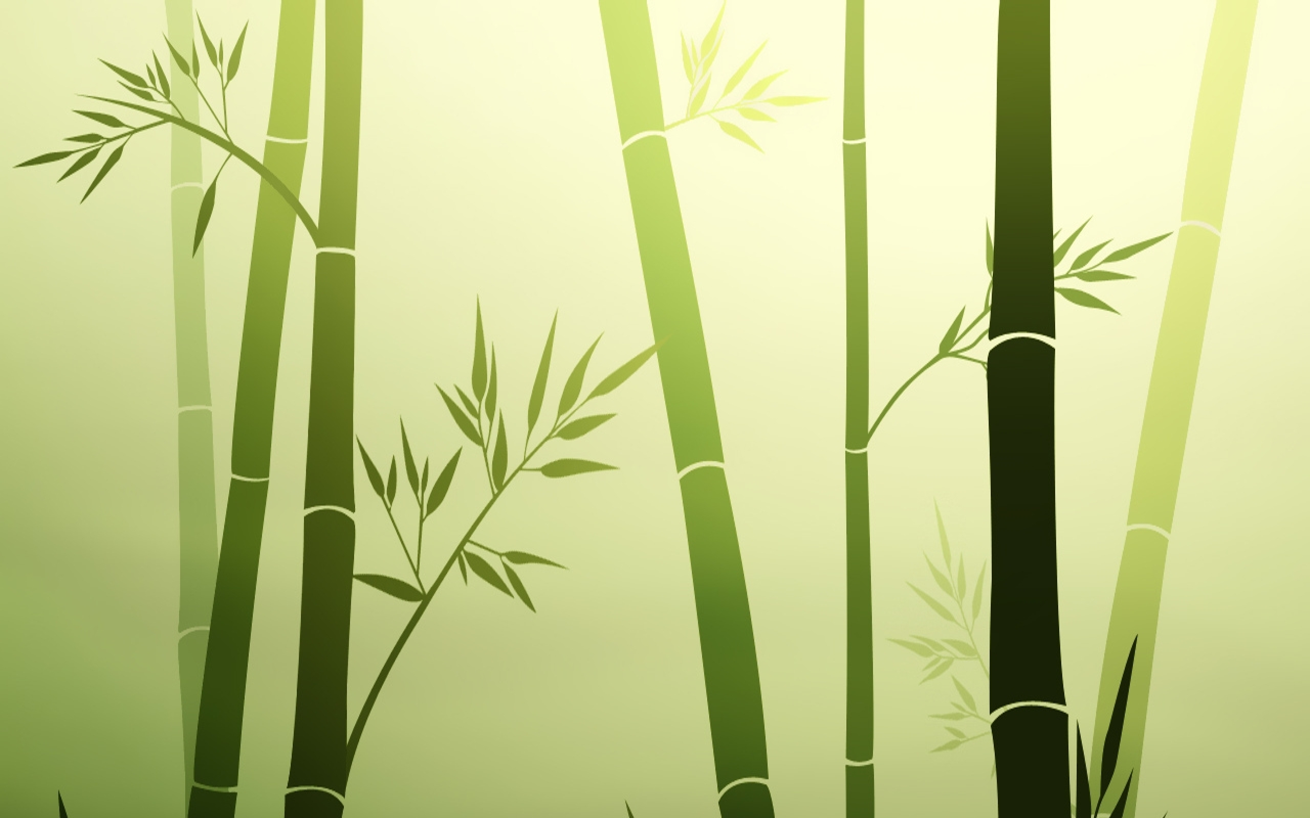 bamboo powerpoint presentation background